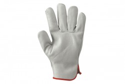 Pelle fiore bovina - dorso crosta (047.36803.mis)