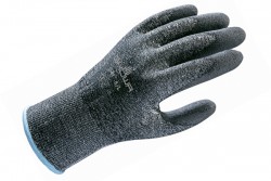 541 HPPE Palm Plus (399104)