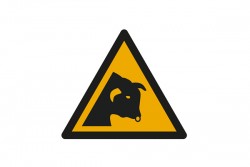 Pericolo presenza toro (E1180mis)