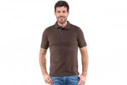 Polo Fox