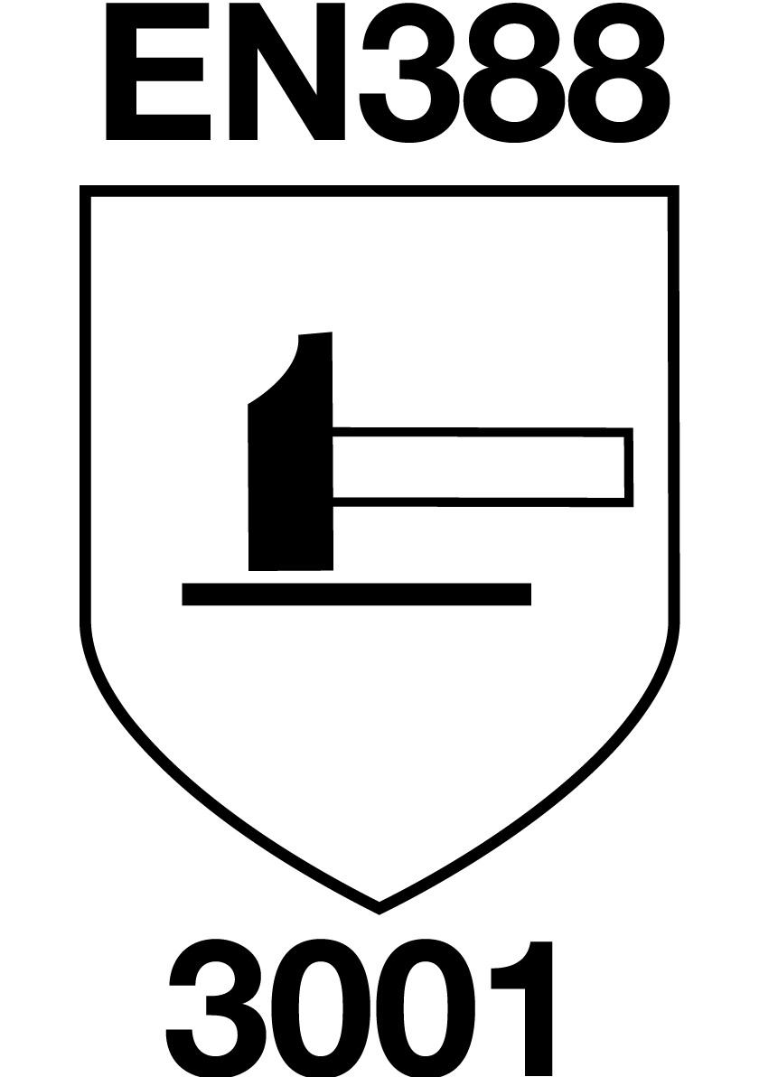 EN 388 3001